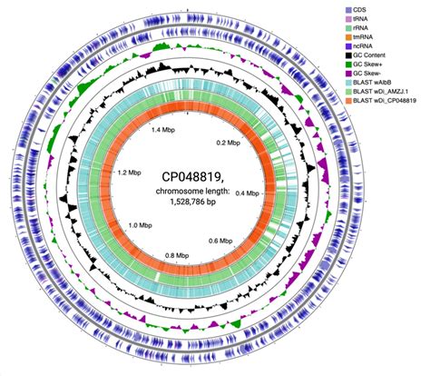 Map Of The Wolbachia Cp048819 Genome Prepared Using Cgview Circles In Download Scientific