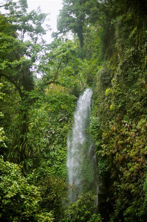 Gunung Gede Pangrango National Park Package Deals | Orbitz