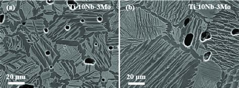 Sem Micrograph Shows Widmanst Tten Structure Formed In Ti Nb Mo