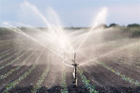 Agricultura irrigada Por que é Tão Importante