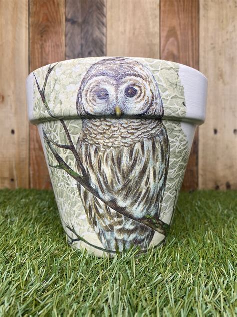 Decoupaged Owl Plant Pot Owl Gift Owl Flower Pot Terracotta Etsy Uk