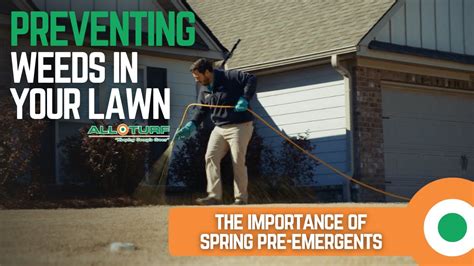 What Pre Emergents Do For Your Lawn Lawn Weed Control With All Turf