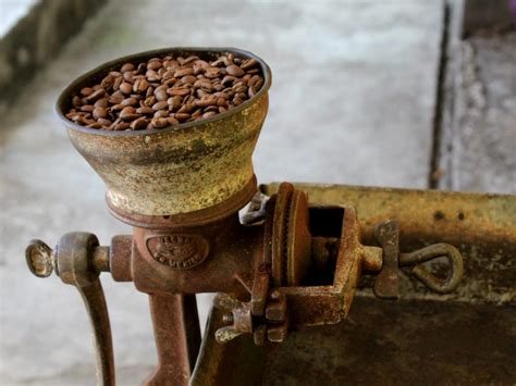 La Ruta del Café en Puebla y Veracruz