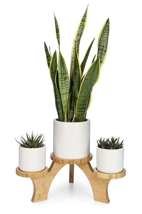 Grow your plant babies in style with the Gleden Plant Stand. This ...