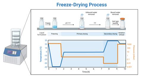 Freeze-Drying Process (Lyophilization) | BioRender Science Templates