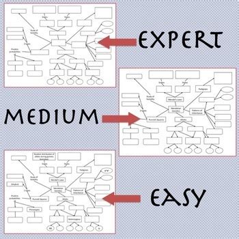 Mendelian Genetics Concept Map By Brilliant Biology TpT