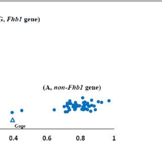 Results Of KASP Genotyping Of The 55 Genotypes Red Tringle Refer To