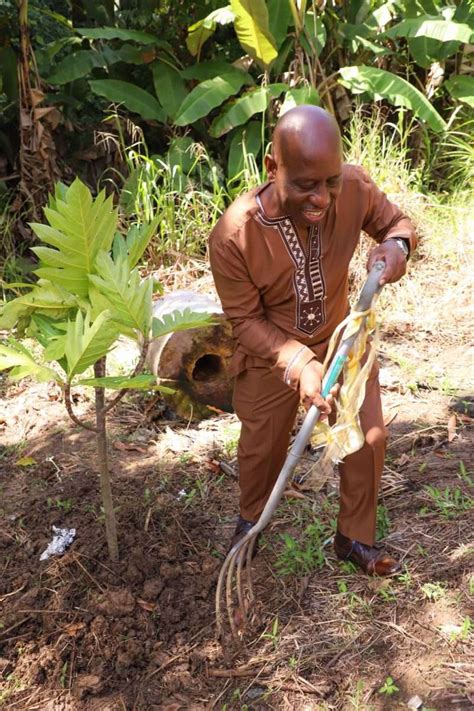 Breadfruit Caravan Makes Stop In Scarborough Tobago Reforestation And