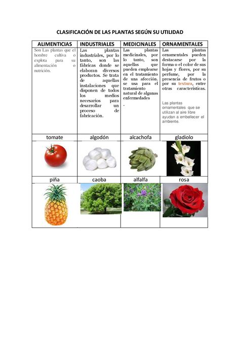 Pdf Clasificaci N De Las Plantas Seg N Su Utilidad Dokumen Tips