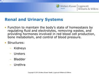 Assessment Of Renal And Urinary Tract Infection Ppt