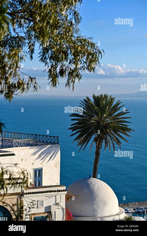 Tunisia Sidi Bou Said Village With White Houses Set High Up On A Cliff Overhanging The Gulf Of