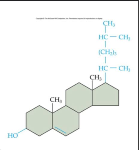 Chapter 3 Biology Flashcards Quizlet