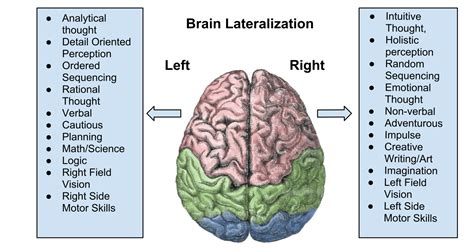 Left brain, right brain