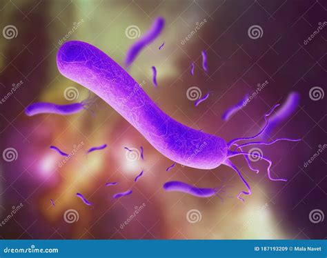 3d Illustration Of E Coli Bacteria Spirilla Bacteria Stock