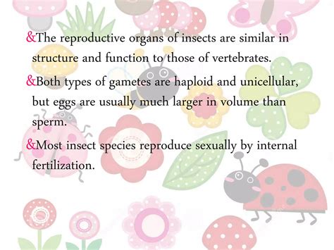 Reproductive System In Insects PPT