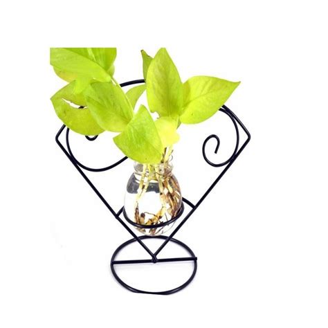 Arch Shape Glass Tube Terrarium Metal Stand Size 22 5x17cm At Rs 499 Piece In Bengaluru