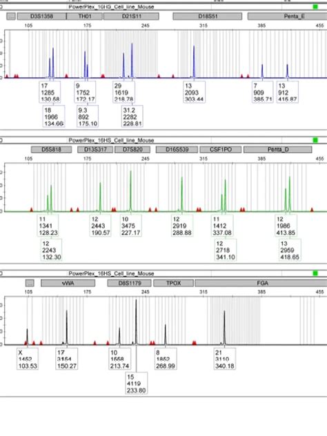 Human Cell Line Authentication Testing Cell Line Authentication