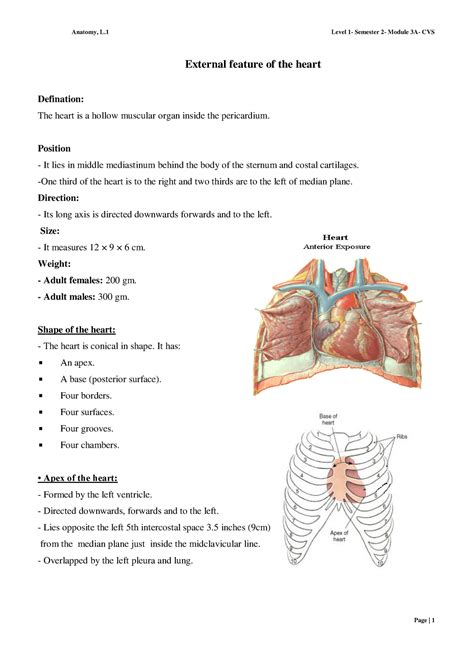 Midclavicular Plane