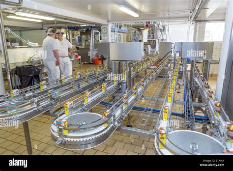 Workers at Dairy factory. MS Dairies, Selfoss, Iceland Stock Photo - Alamy