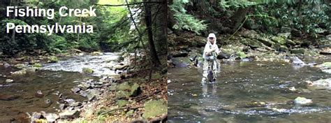 Fly Fishing On The Fishing Creek In Pennsylvania (Big Fishing Creek ...