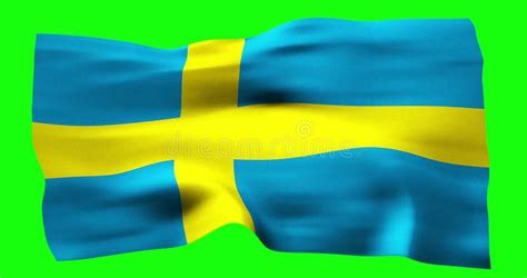 Flag Of Sweden Realistic Waving On Green Screen Seamless Loop Animation With High Quality Stock