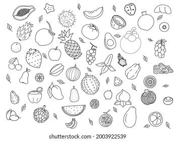 Black And White Clipart Of Fruits