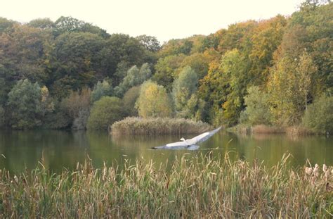 Quoi Faire En For T De Meudon La For T La Plus Proche De Paris