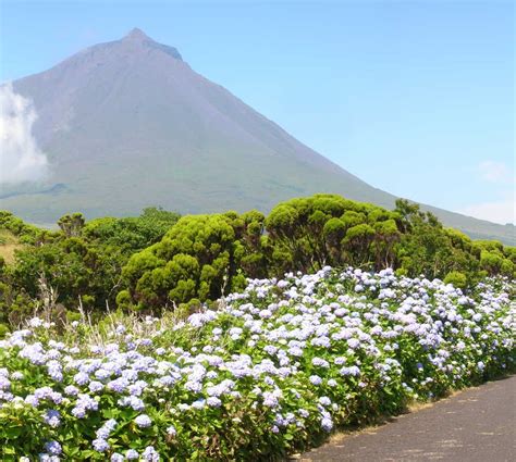 Photos of Pico Island: Images and photos