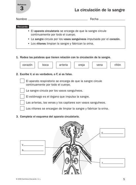 Refuerzo y ampliación conocimiento del medio 4º en 2020 2bf Artofit