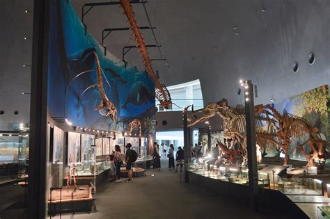 Visit Fukui Prefecture For Fossils Fish And Fantastic Views Japan Today