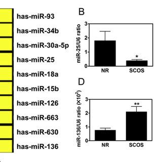 Profiles Of Microrna Mirna Expression A The Heat Map Represents