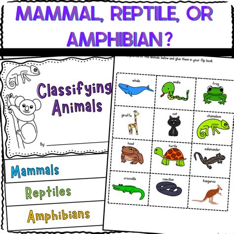 Mammals Reptiles And Amphibians Worksheets And B Made By Teachers