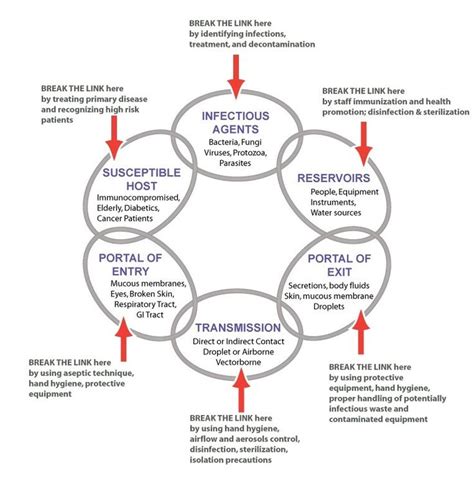 the chain of infection examples