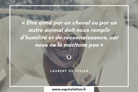 Les Plus Belles Citations Sur Les Chevaux Equirelation