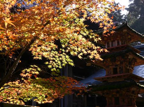 「白峯寺」四国八十八箇所霊場第八十一番札所香川県坂出市 Heavy Strawberry Flickr