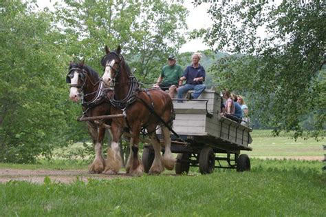 Horse Drawn Wagon Rides - Willow Grove Farm & Stables