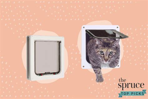 The 7 Best Cat Doors Of 2021