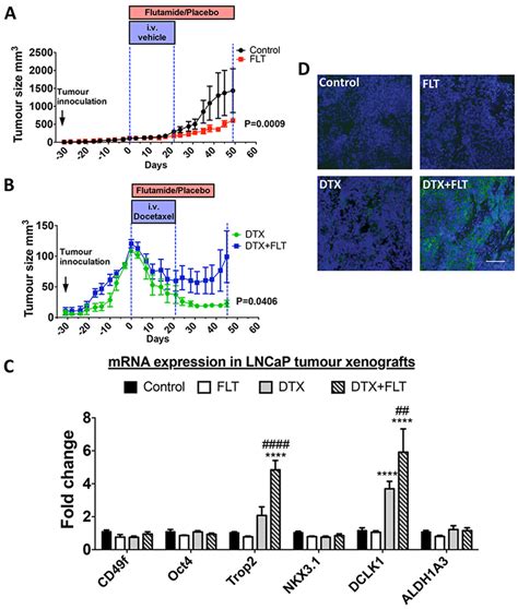 A–B. Tumor growth in NOD/SCID mice treated with vehicle (control),... | Download Scientific Diagram