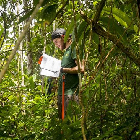 Amazon Conservation Project In Peru The Great Projects