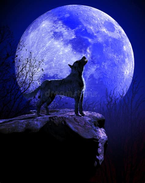 Lobo que urra na lua azul ilustração stock Ilustração de selvagem