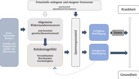 Salutogenese Resilienz Akademie