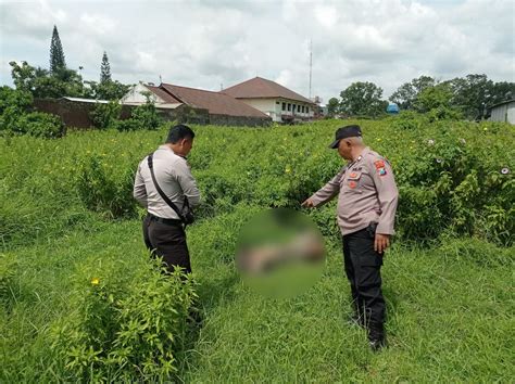 Polisi Ungkap Identitas Mayat Yang Ditemukan Di Lahan Kosong Singosari