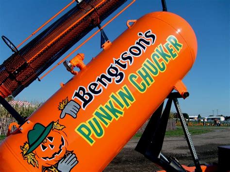 37 Best Pumpkin Farms Near Me 2023 - Pumpkin Picking Near Me