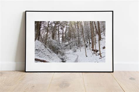 Ellison Park Winter Hiking Trail Photo, Nature Wall Art, Scenic ...