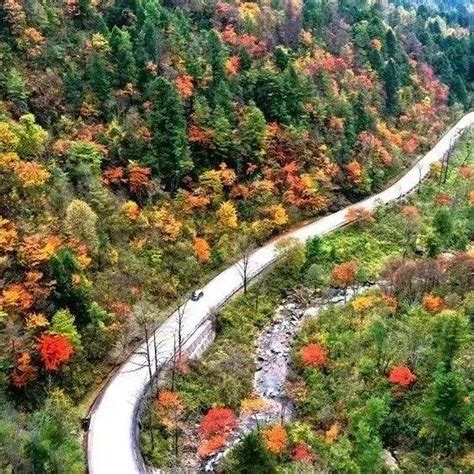 橙黄橘绿 自在安康 来一趟醉美红叶探秘之旅！ 景区 旅游 秦岭