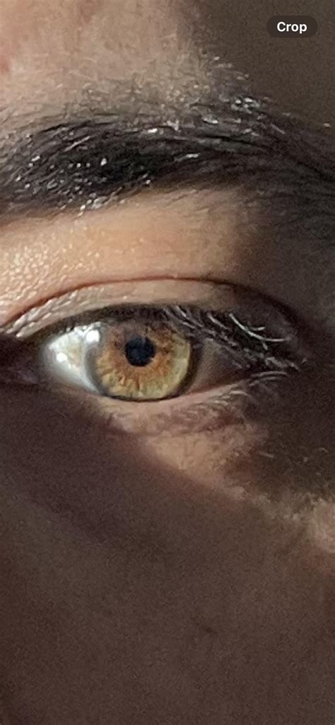 Mixed race. What’s my eye color ? : r/WhatisMyEyeColour