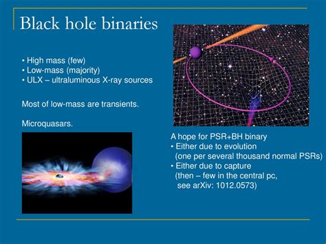 Bh Binaries Ppt Download