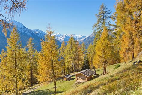 Neue Herbstbilder Am Anstieg Zur Starkenburger H Tte Heute Am