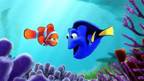 5 Relatable 'Finding Dory' Quotes | The Odyssey Online