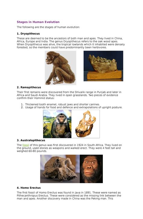 Stages in Human Evolution - They lived in China, Africa, Europe and ...